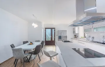 Spacious Family Villa with Pool in Novigrad