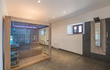 Spacious Family Villa with Pool in Novigrad