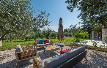 Spacious Family Villa with Pool in Novigrad
