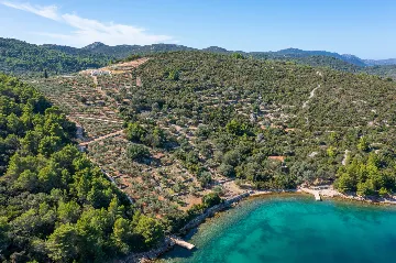 Spacious Seaside Villa with Pool, Dugi Otok