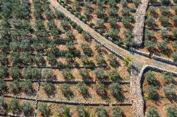 Spacious Seaside Villa with Pool, Dugi Otok