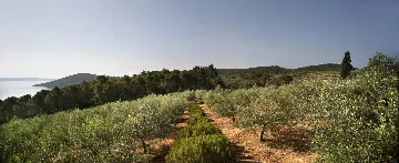 Spacious Seaside Villa with Pool, Dugi Otok