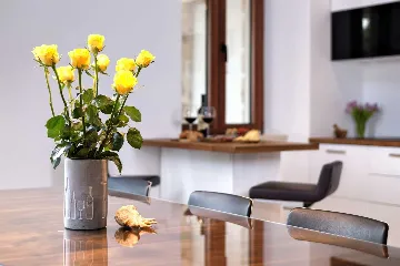 Modern Villa Retreat with Infinity Pool in Jelsa