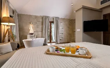 Modern Villa Retreat with Infinity Pool in Jelsa