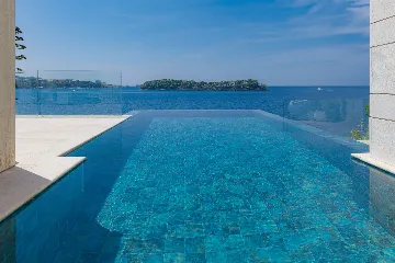 Contemporary Seaside Villa with Infinity Pool Lozica
