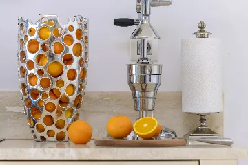 Contemporary Seaside Villa with Infinity Pool Lozica