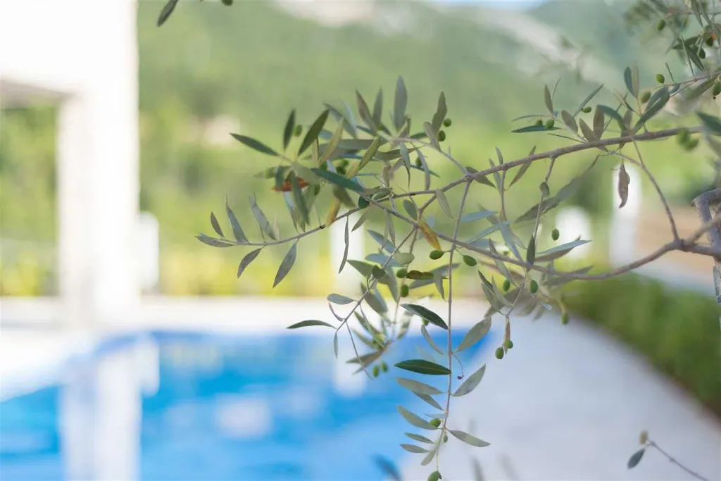 Modern Villa with Pool and Sauna in Jelsa