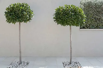 Contemporary Seaside Villa with Heated Pool Žrnovo