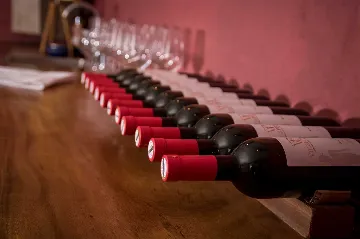 Private 9-Bedroom Villa with Pool near Dubrovnik