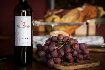 Private 9-Bedroom Villa with Pool near Dubrovnik