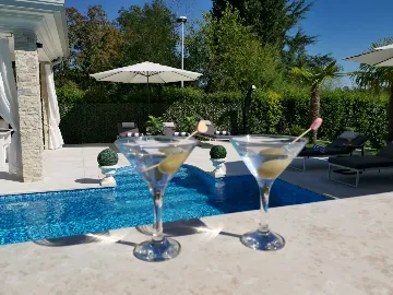 Contemporary Villa with Pool in Umag