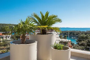 Modern Villa with Heated Pool in Milna