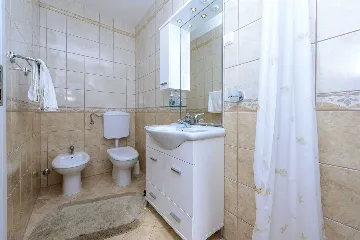 Family Villa with Pool and Terraces in Zaton