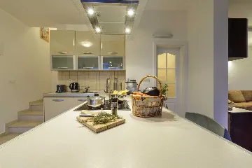 Family Villa with Pool and Terraces in Zaton