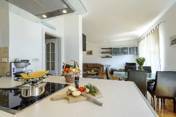 Family Villa with Pool and Terraces in Zaton