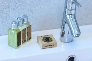 Spacious Villa Retreat with Pool in Orašac