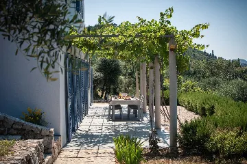 Spacious Island Villa with Pool in Šipan