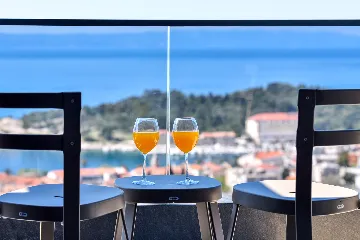 Contemporary Villa Retreat with Infinity Pool Makarska