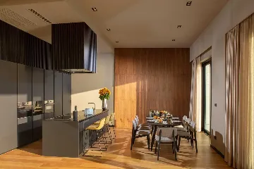 Modern Villa with Infinity Pool in Orašac