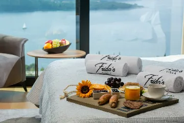 Modern Villa with Infinity Pool in Orašac