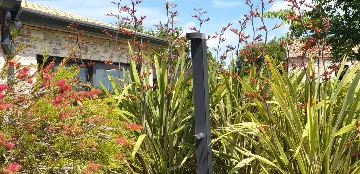 Family Villa with Pool in Bale, Istria