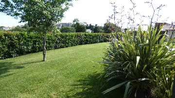 Family Villa with Pool in Bale, Istria