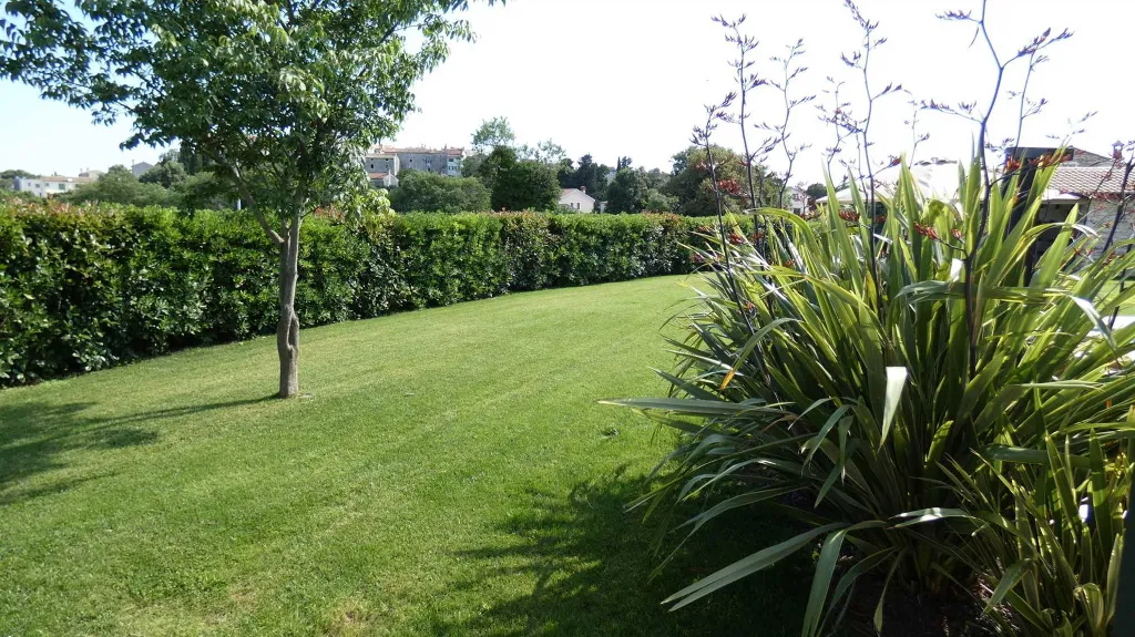 Family Villa with Pool in Bale, Istria
