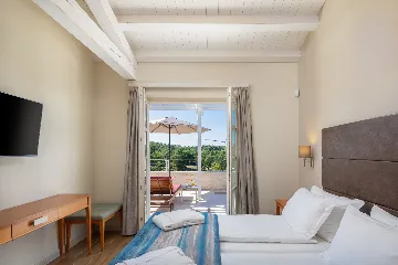 Modern 5-Bedroom Villa with Pool in Režanci