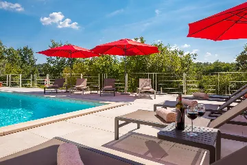 Modern Villa with Heated Pool in Režanci