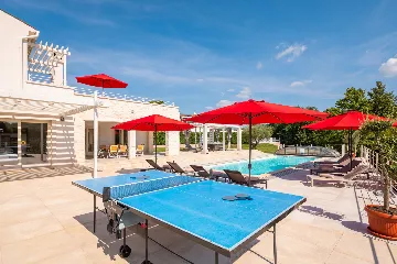 Modern Villa with Heated Pool in Režanci