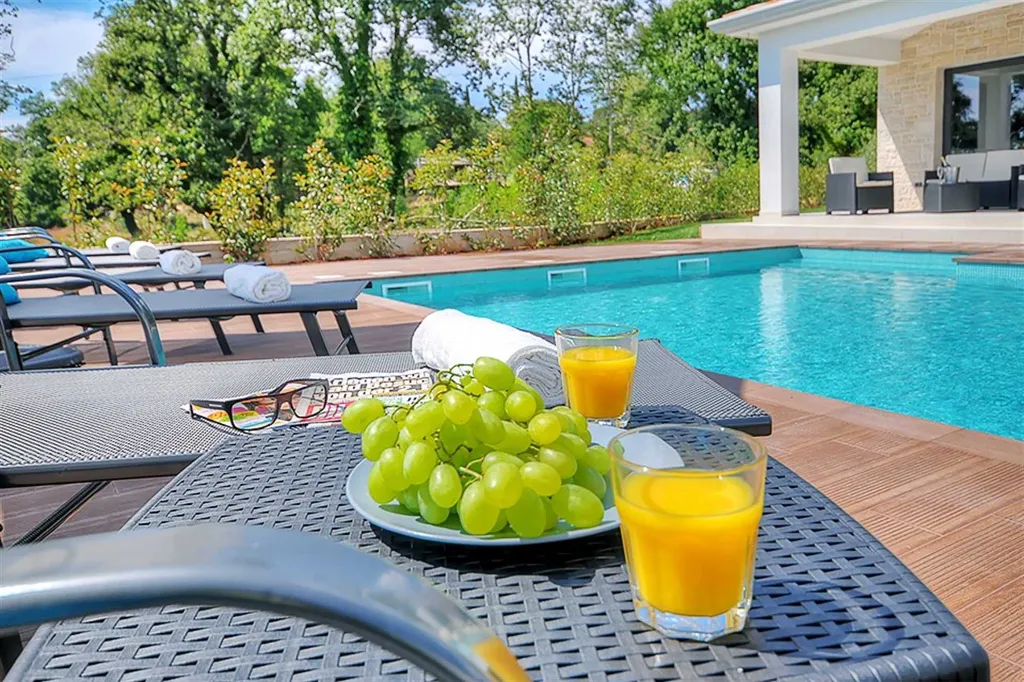 Modern Family Villa with Pool in Višnjan