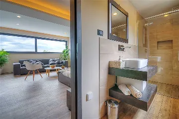 Modern Family Villa with Pool in Višnjan