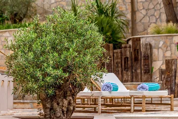 Four Bedroom Seaside Villa with Infinity Pool Selca