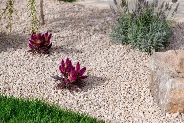 Modern Villa with Pool and Garden in Umag