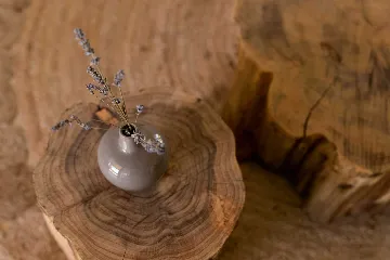 Modern Villa with Pool and Garden in Umag