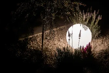 Modern Villa with Pool and Garden in Umag