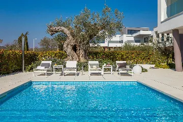 Modern 6-Bedroom Villa with Pool near Vodnjan