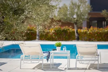 Contemporary Villa Retreat with Pool in Vodnjan