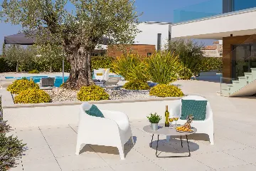 Modern Villa with Pool and Entertainment Room Vodnjan