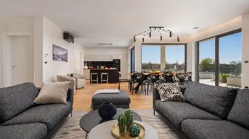 Modern Villa with Pool and Entertainment Room Vodnjan