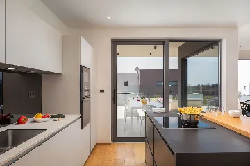 Modern Villa with Pool and Entertainment Room Vodnjan