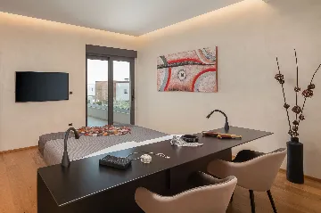 Modern Villa with Pool and Entertainment Room Vodnjan