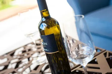 Modern 4-Bedroom Villa with Pool in Vabriga