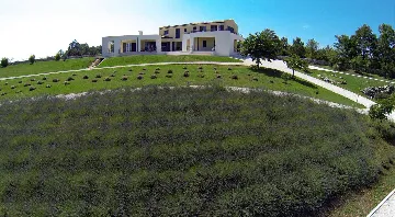 Spacious Family Villa with Pool in Marčana