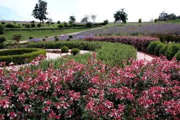 Spacious Family Villa with Pool in Marčana