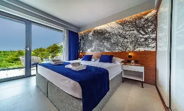 Modern Villa with Pool and Wellness, Promajna