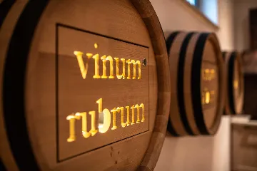 Modern Villa with Heated Pool in Pula