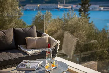 Seaside Family Villa with Pool in Vela Luka