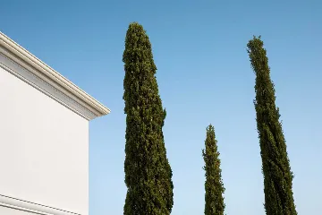 Elegant 4-Bedroom Villa with Pool in Vabriga