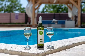 Spacious Country Villa with Pool in Vižinada